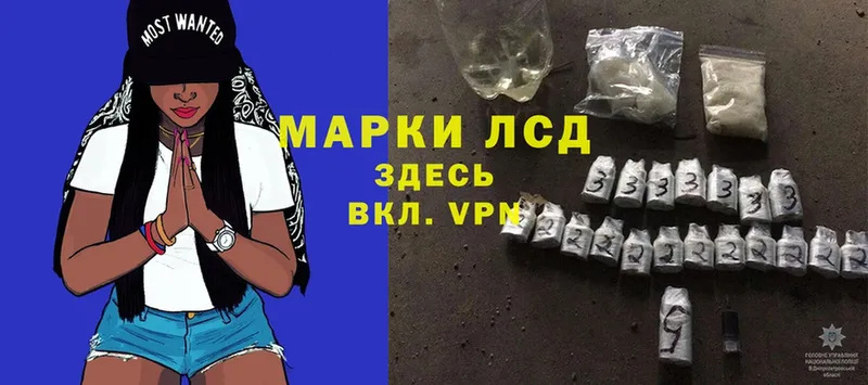 ЛСД экстази ecstasy  где купить наркоту  Володарск 